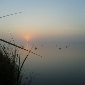 Meet your Posher, Joshua